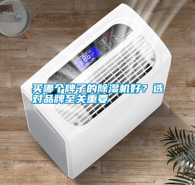 買哪個牌子的除濕機(jī)好？選對品牌至關(guān)重要