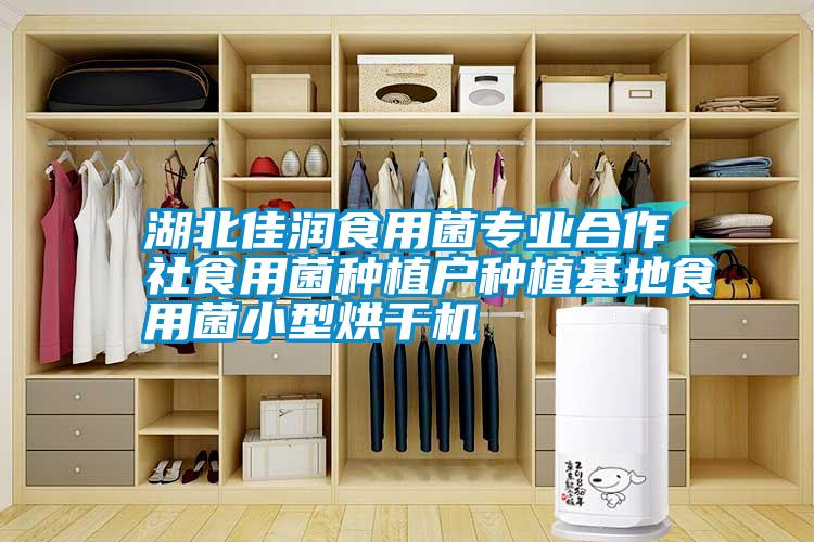 湖北佳潤食用菌專業(yè)合作社食用菌種植戶種植基地食用菌小型烘干機(jī)
