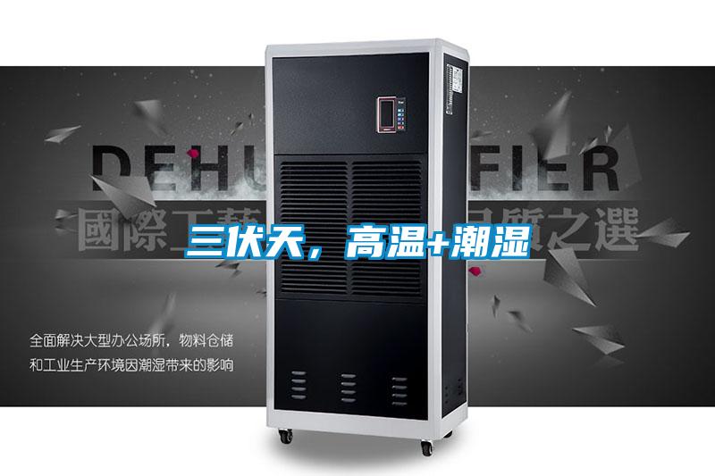 三伏天，高溫+潮濕