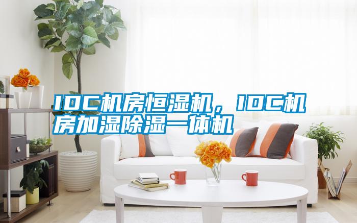IDC機(jī)房恒濕機(jī)，IDC機(jī)房加濕除濕一體機(jī)