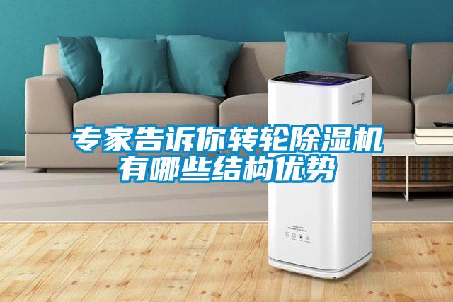 專家告訴你轉(zhuǎn)輪除濕機(jī)有哪些結(jié)構(gòu)優(yōu)勢