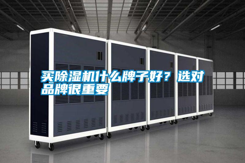 買除濕機什么牌子好？選對品牌很重要