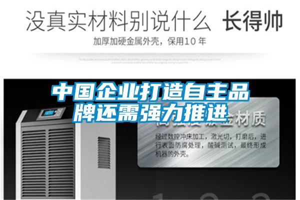 中國企業(yè)打造自主品牌還需強(qiáng)力推進(jìn)