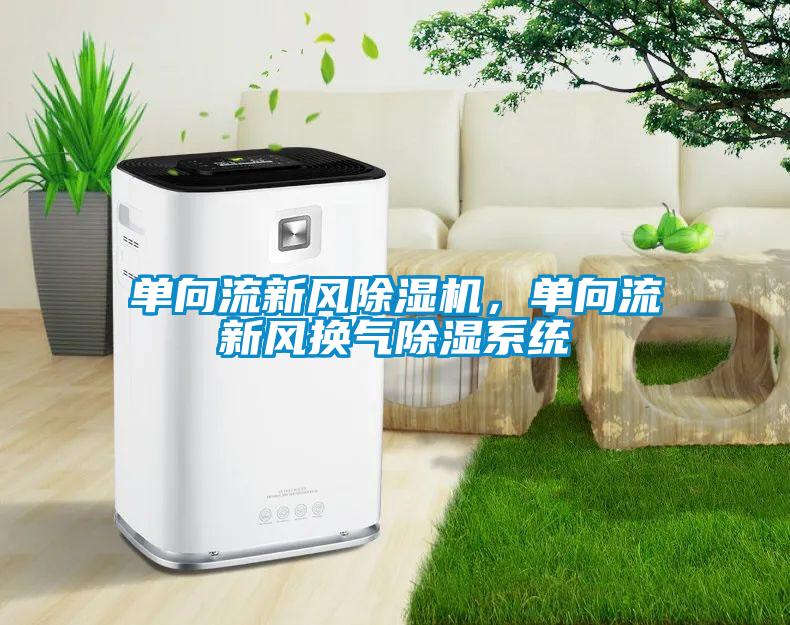 單向流新風(fēng)除濕機(jī)，單向流新風(fēng)換氣除濕系統(tǒng)
