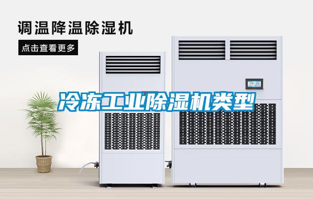 冷凍工業除濕機類型