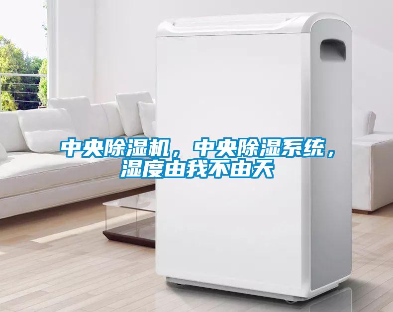 中央除濕機(jī)，中央除濕系統(tǒng)，濕度由我不由天