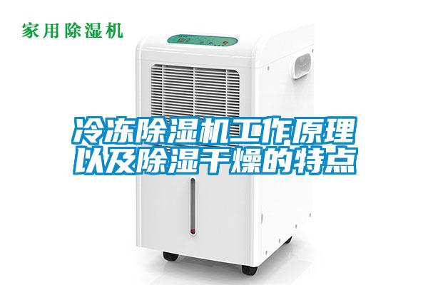 冷凍除濕機(jī)工作原理以及除濕干燥的特點