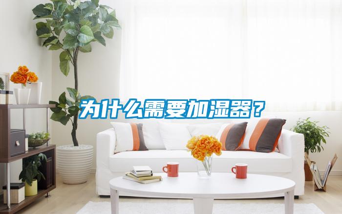 為什么需要加濕器？