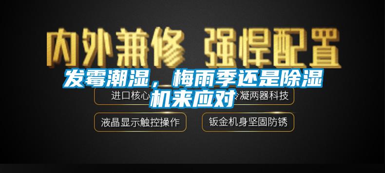發(fā)霉潮濕，梅雨季還是除濕機來應(yīng)對