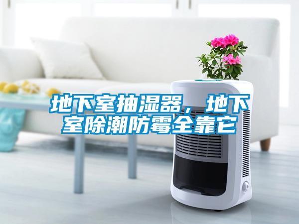 地下室抽濕器，地下室除潮防霉全靠它