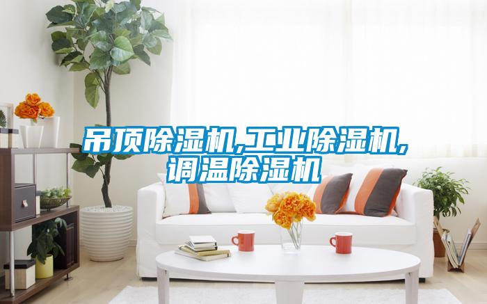 吊頂除濕機(jī),工業(yè)除濕機(jī),調(diào)溫除濕機(jī)