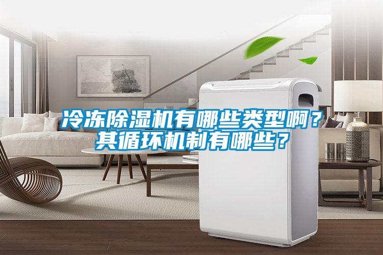 冷凍除濕機有哪些類型?。科溲h機制有哪些？