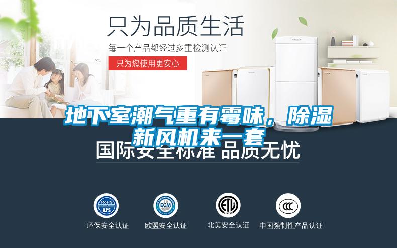 地下室潮氣重有霉味，除濕新風機來一套