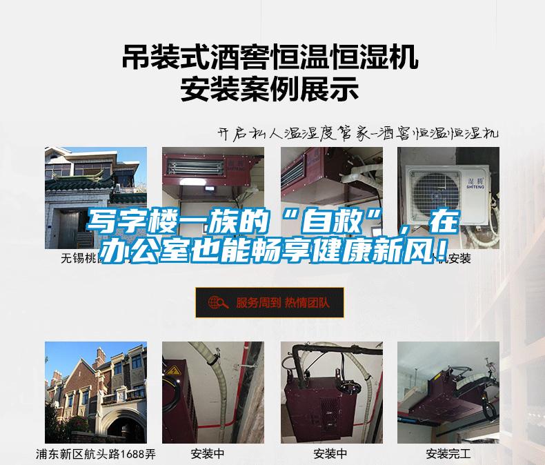 寫字樓一族的“自救”，在辦公室也能暢享健康新風(fēng)！