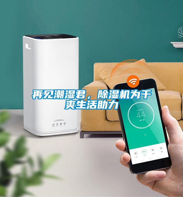 再見潮濕君，除濕機(jī)為干爽生活助力