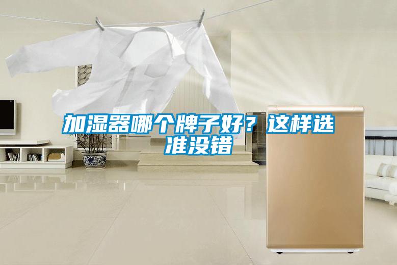 加濕器哪個(gè)牌子好？這樣選準(zhǔn)沒錯(cuò)
