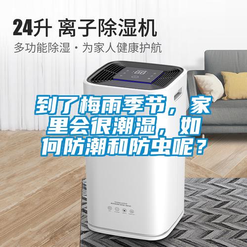 到了梅雨季節(jié)，家里會很潮濕，如何防潮和防蟲呢？