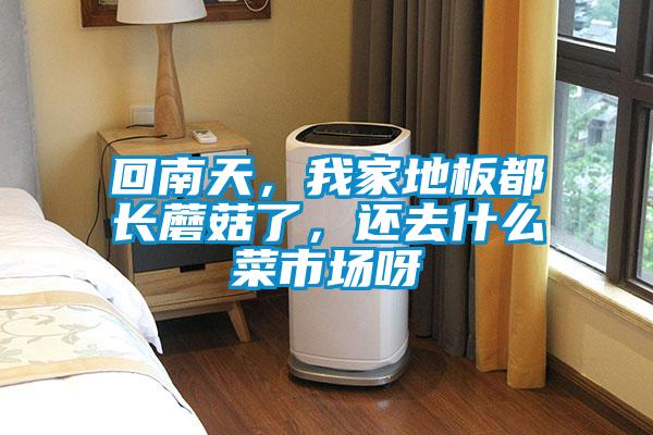 回南天，我家地板都長蘑菇了，還去什么菜市場呀
