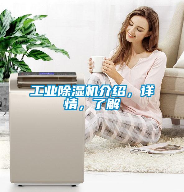 工業除濕機介紹，詳情，了解