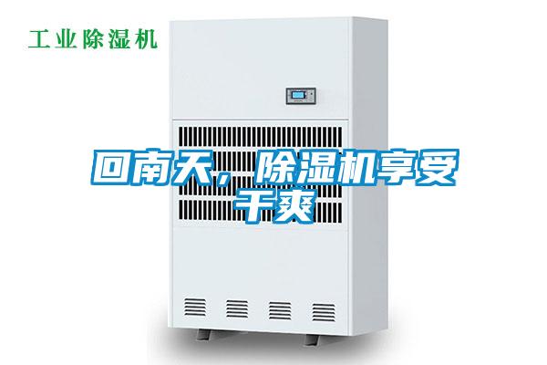 回南天，除濕機享受干爽
