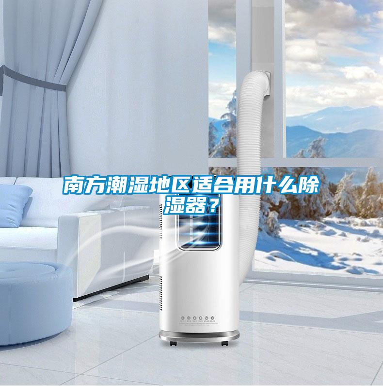 南方潮濕地區適合用什么除濕器?