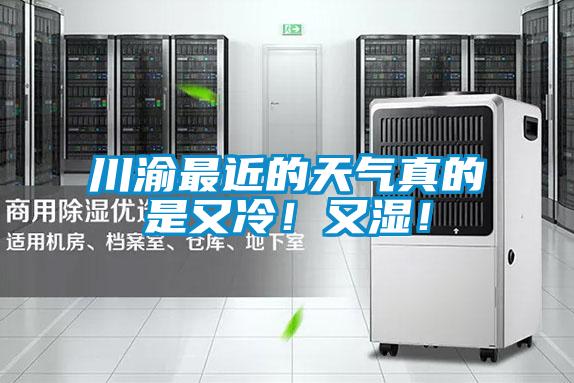 川渝最近的天氣真的是又冷！又濕！