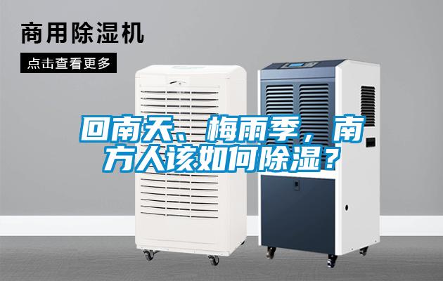 回南天、梅雨季，南方人該如何除濕？