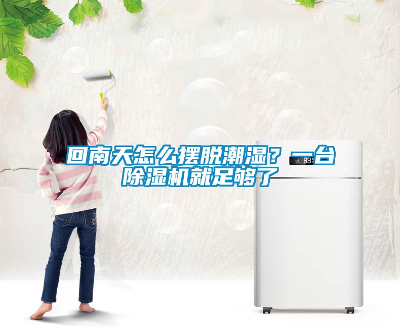回南天怎么擺脫潮濕？一臺(tái)除濕機(jī)就足夠了