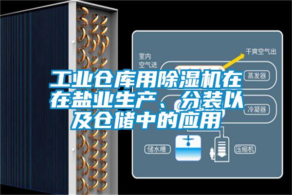 工業倉庫用除濕機在在鹽業生產、分裝以及倉儲中的應用