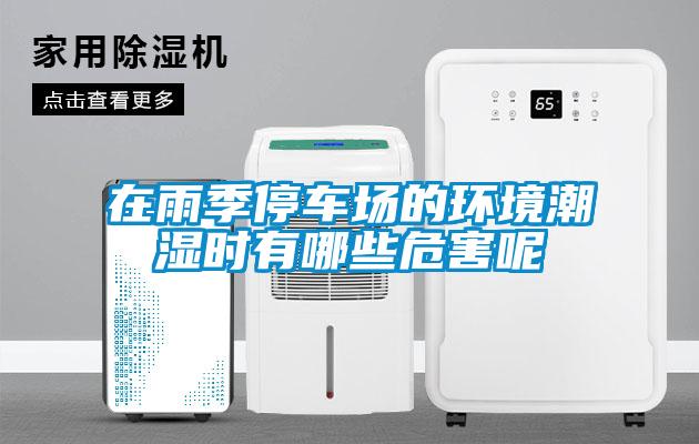 在雨季停車場的環(huán)境潮濕時(shí)有哪些危害呢
