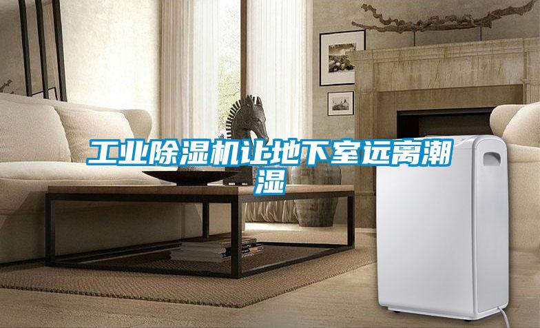 工業(yè)除濕機讓地下室遠(yuǎn)離潮濕
