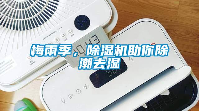 梅雨季，除濕機助你除潮去濕