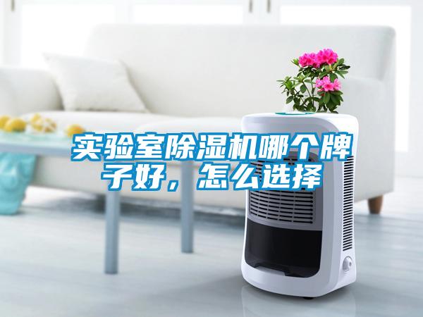 實驗室除濕機(jī)哪個牌子好，怎么選擇