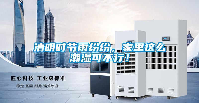 清明時節(jié)雨紛紛，家里這么潮濕可不行！