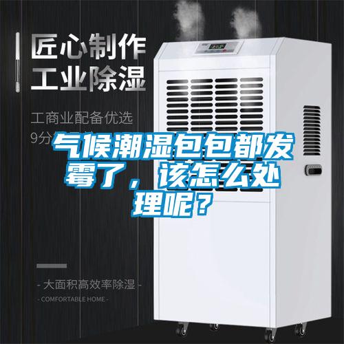 氣候潮濕包包都發(fā)霉了，該怎么處理呢？
