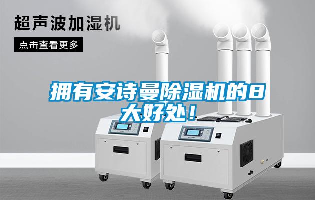 擁有安詩(shī)曼除濕機(jī)的8大好處！