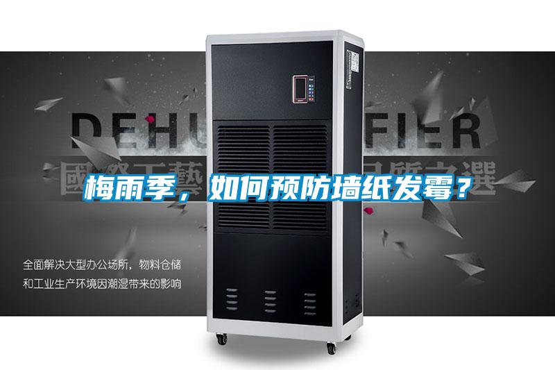 梅雨季,如何預防墻紙發(fā)霉?