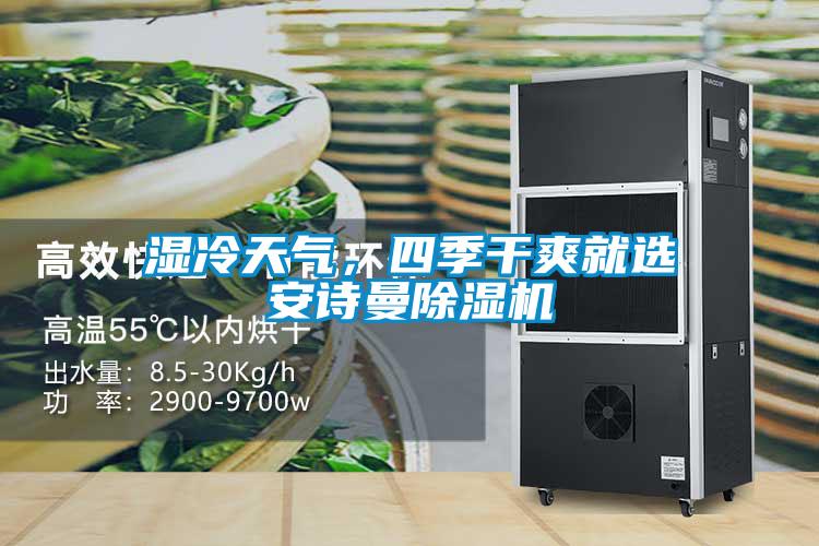 濕冷天氣，四季干爽就選安詩曼除濕機
