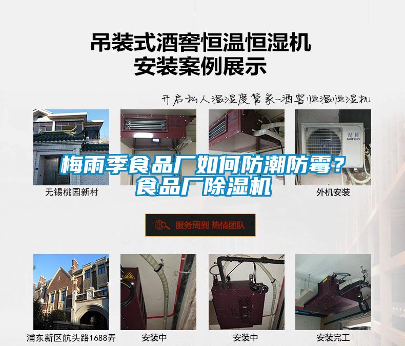 梅雨季食品廠如何防潮防霉？食品廠除濕機(jī)