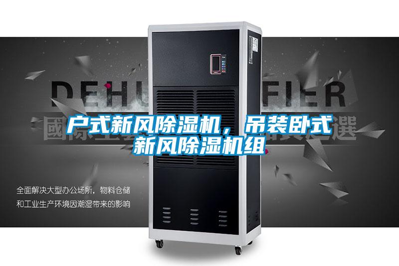 戶式新風(fēng)除濕機(jī)，吊裝臥式新風(fēng)除濕機(jī)組