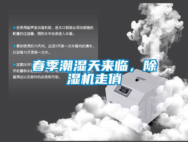 春季潮濕天來臨，除濕機走俏