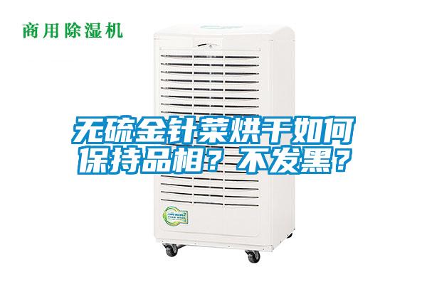 無硫金針菜烘干如何保持品相？不發黑？