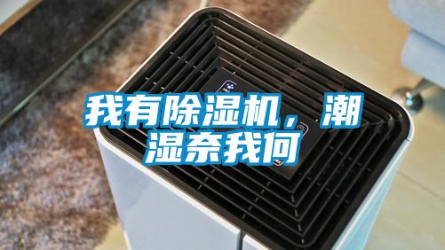 我有除濕機，潮濕奈我何