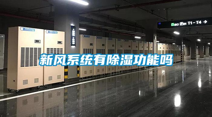 新風系統有除濕功能嗎