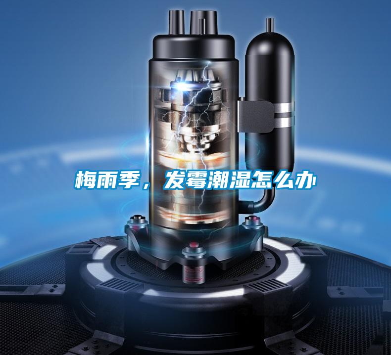 梅雨季，發(fā)霉潮濕怎么辦