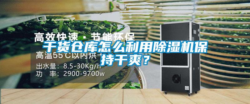 干貨倉庫怎么利用除濕機保持干爽？