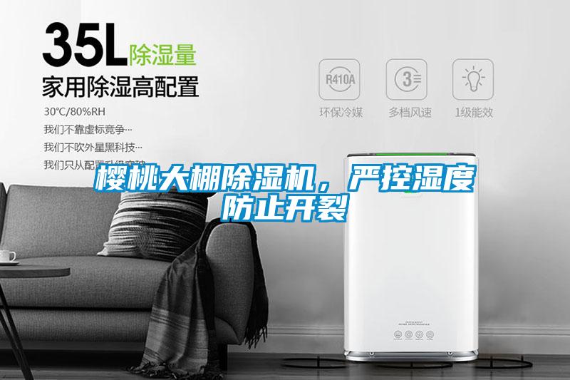 櫻桃大棚除濕機(jī)，嚴(yán)控濕度防止開裂