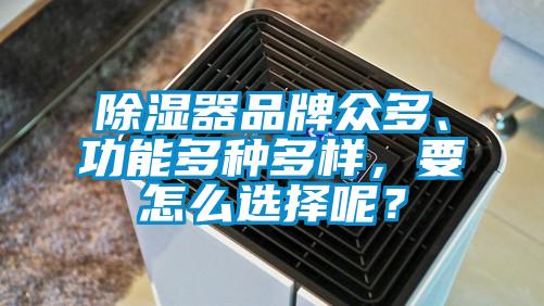除濕器品牌眾多、功能多種多樣，要怎么選擇呢？