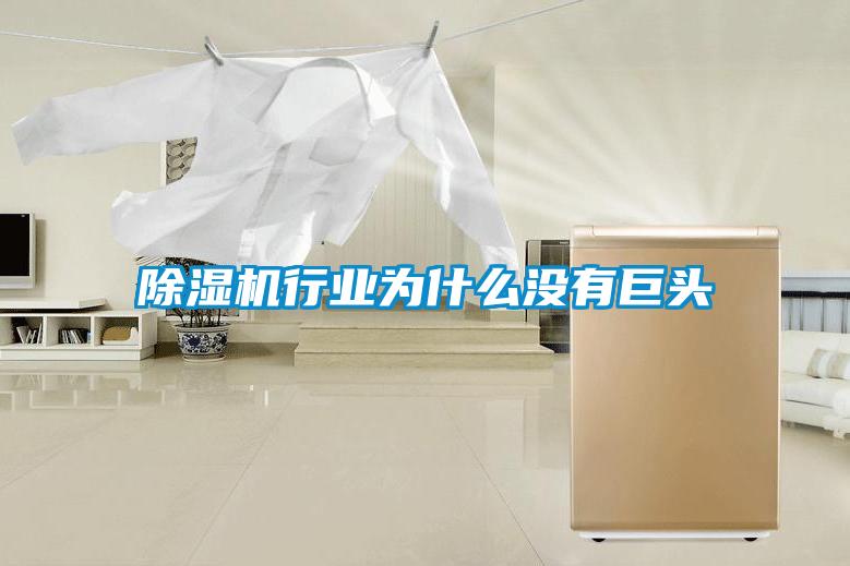 除濕機行業為什么沒有巨頭