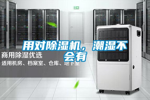 用對除濕機，潮濕不會有